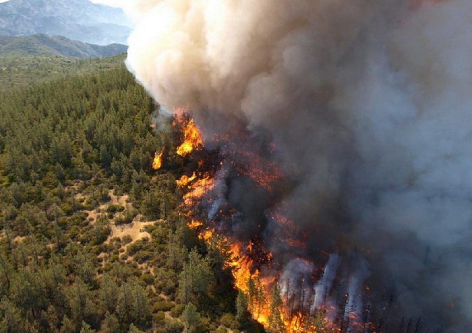 Aerial view of a wildfire advancing through forested ridgeline