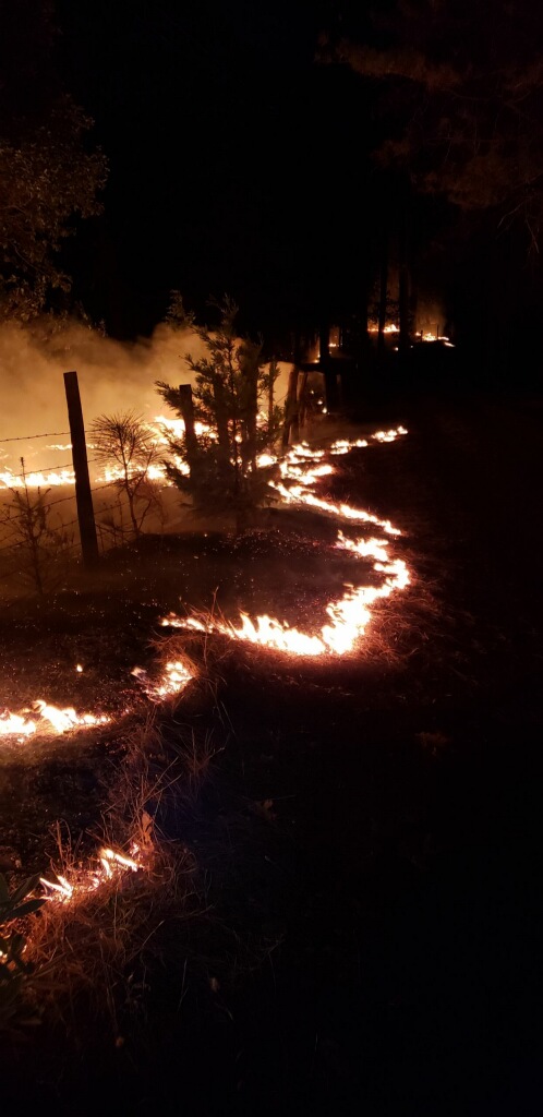 Ground fire burning along a fence line at night